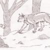 Lynx Werecat
